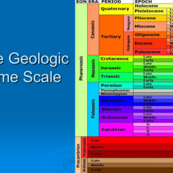 The geologic time scale worksheet