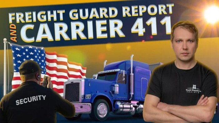 How to check freight guard report