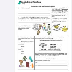 Amoeba sisters mutations worksheet answer key pdf