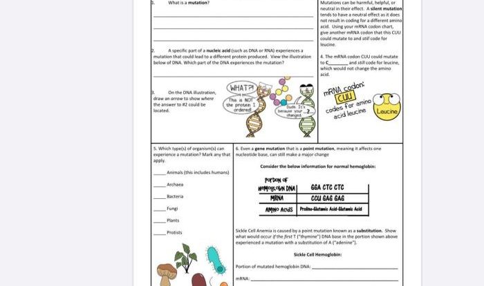 Amoeba sisters mutations worksheet answer key pdf